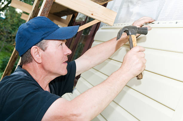 Best Fiber Cement Siding Installation  in New Baltimore, MI