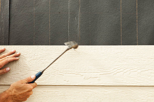 Best Steel Siding Installation  in New Baltimore, MI
